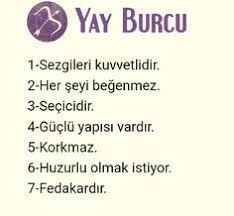 Yay Burcu Özellikleri Nelerdir? Hayatınıza Etkisi ve Anlamı