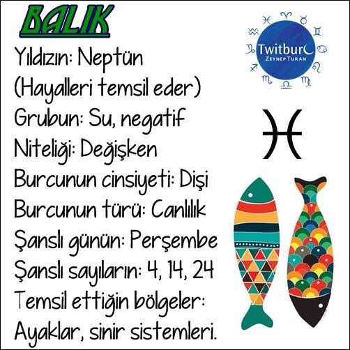 Balık Burcu Özellikleri Nelerdir?