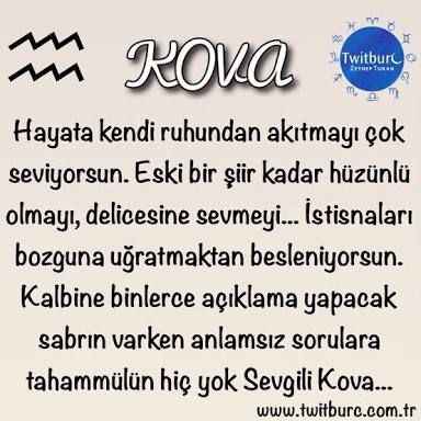kova burcu özellikleri nedir